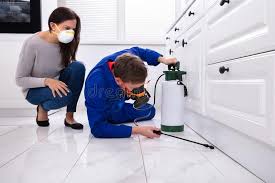 Best Pest Exclusion Services  in Rockford, MN